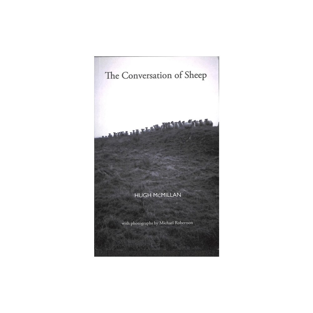 Luath Press Ltd The Conversation of Sheep (häftad, eng)