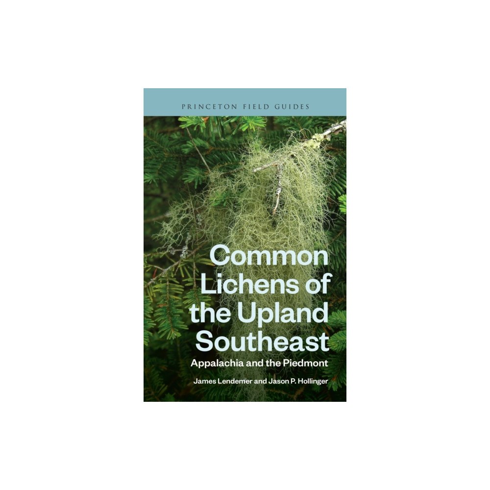 Princeton University Press Common Lichens of the Upland Southeast (häftad, eng)