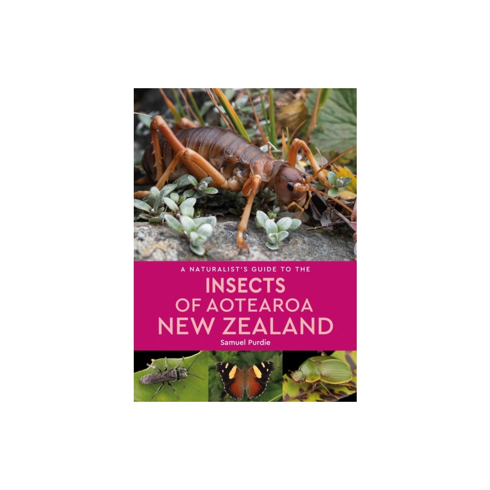 John Beaufoy Publishing Ltd A Naturalist’s Guide to the Insects of Aotearoa New Zealand (häftad, eng)