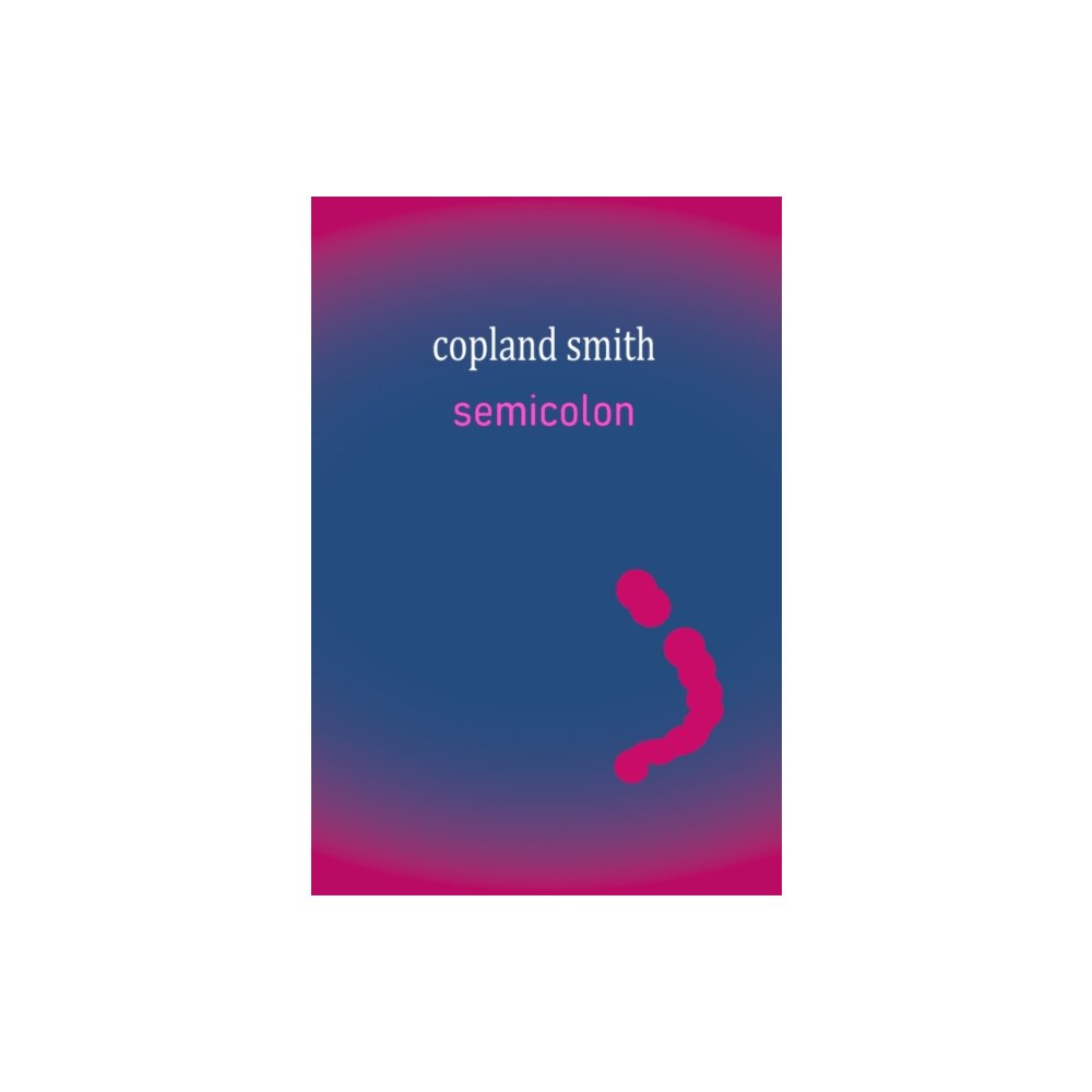 Flapjack Press Semicolon (häftad, eng)