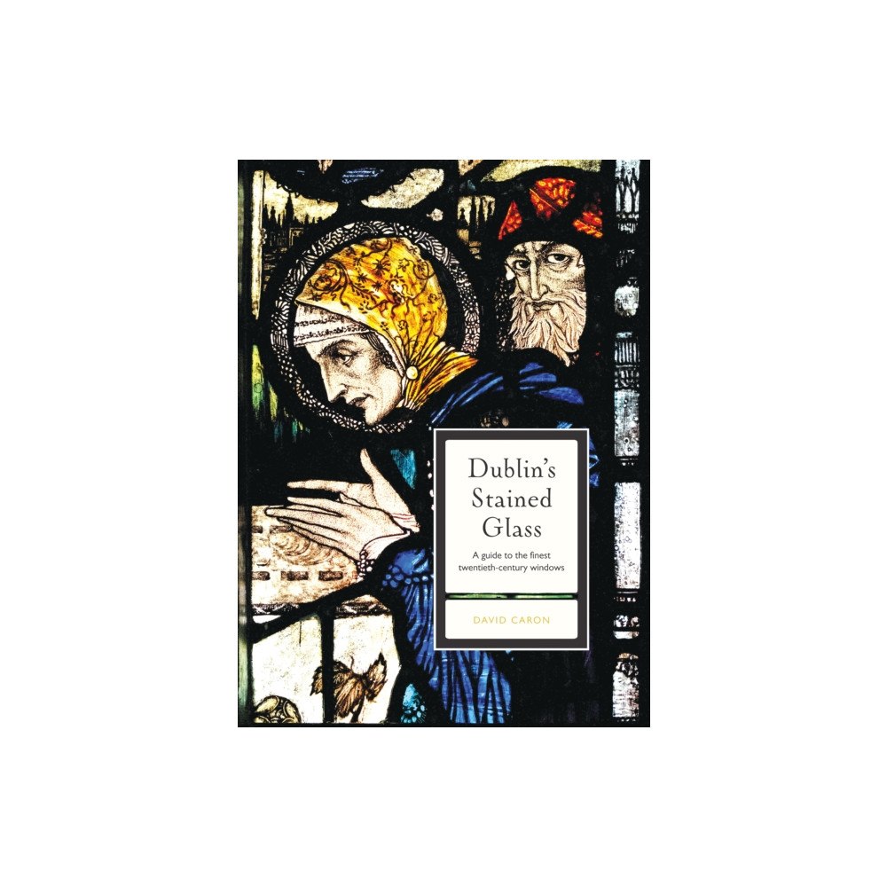 Four Courts Press Ltd Dublin's Stained Glass (häftad, eng)