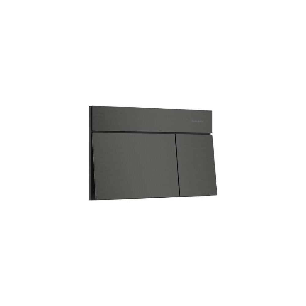 HANSGROHE HG iFrame Element E Tryckplatta – För dubbelspolning, borsta...