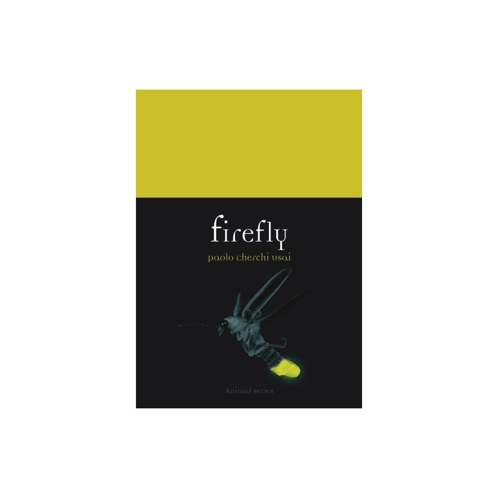 Reaktion Books Firefly (häftad, eng)