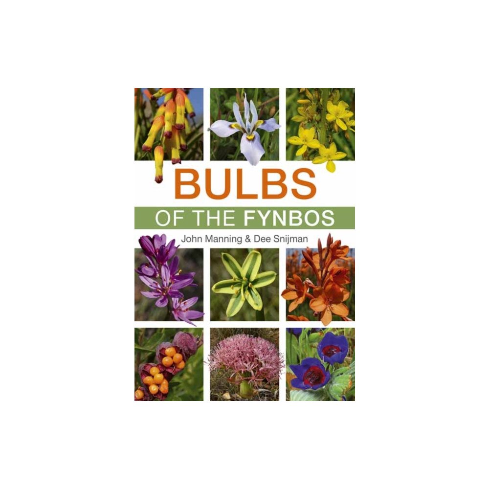 Penguin Random House South Africa Bulbs of the Fynbos (häftad, eng)