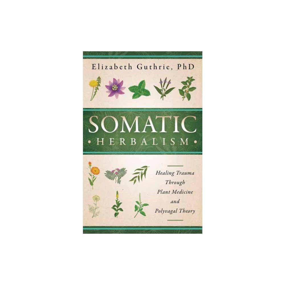 Llewellyn Publications,U.S. Somatic Herbalism (häftad, eng)