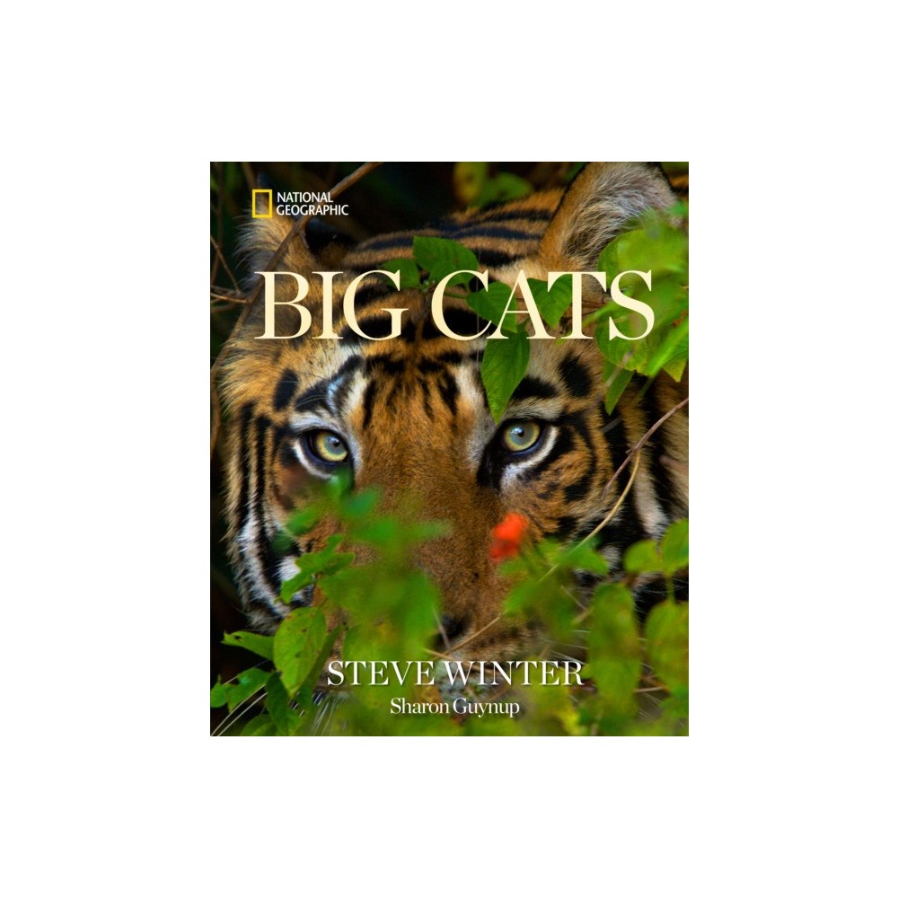 National Geographic Books Big Cats (inbunden, eng)