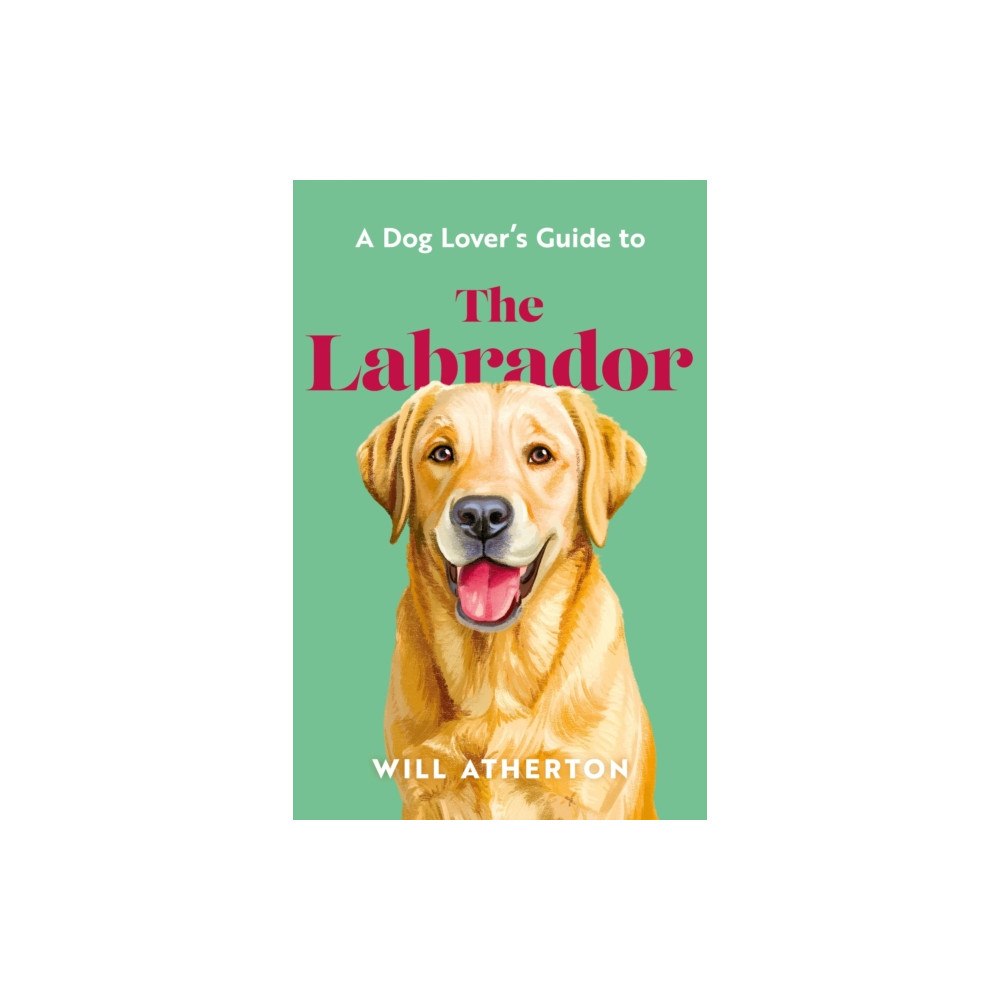 Orion Publishing Co A The Labrador (inbunden, eng)
