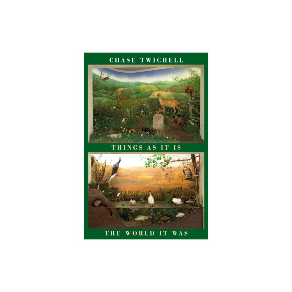 Bloodaxe Books Ltd Things as It Is | The World It Was (häftad, eng)