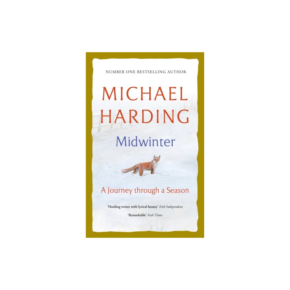 Hachette Books Ireland Midwinter (häftad, eng)