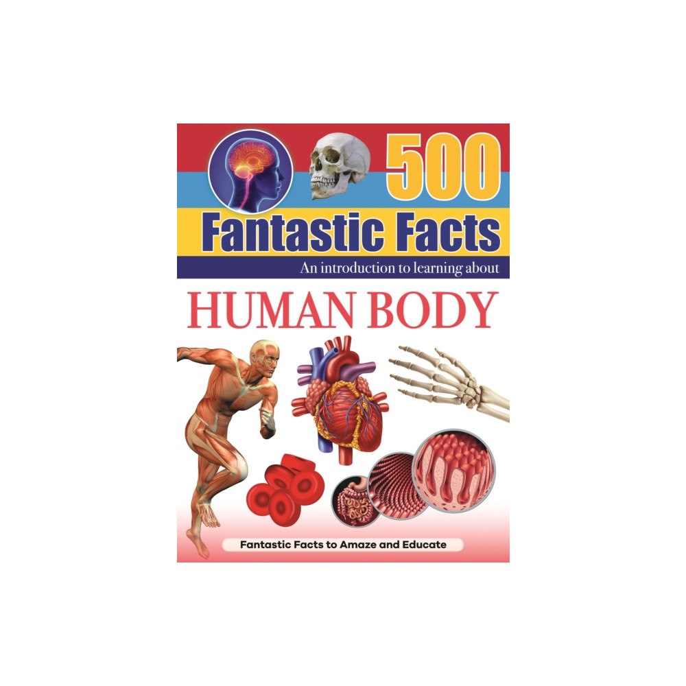 North Parade Publishing Human Body (inbunden, eng)