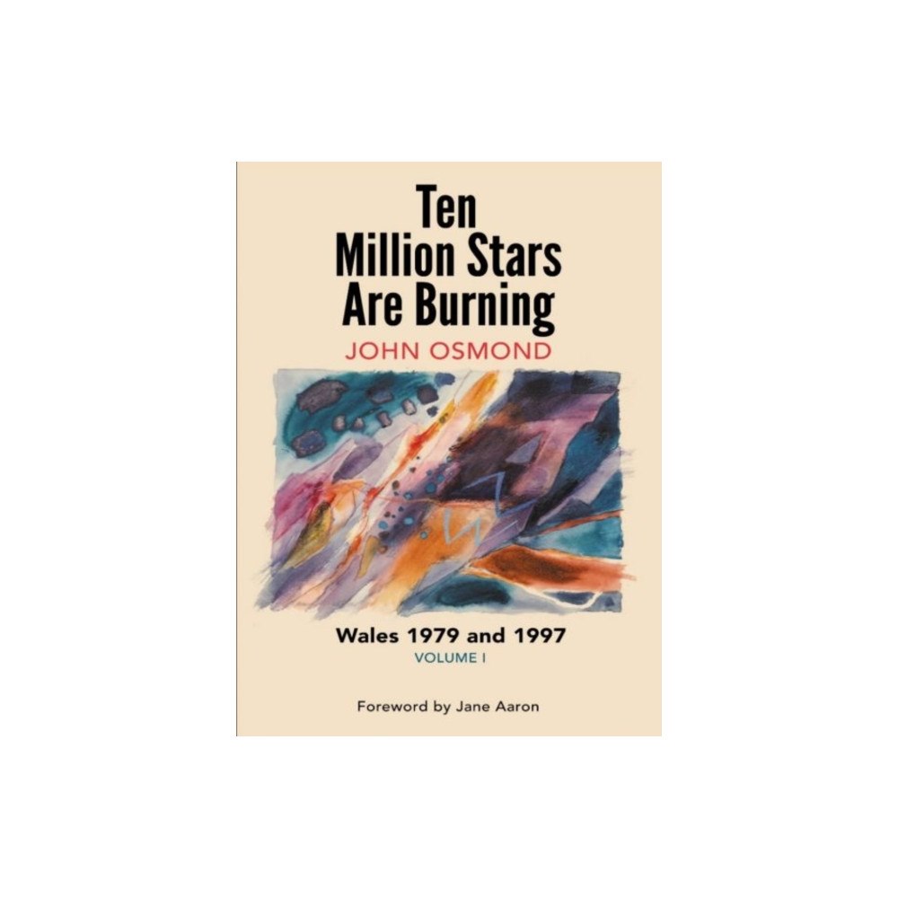 The Hmm Foundation Ten Million Stars Are Burning - Wales 1979 and 1997, Volume I (häftad, eng)