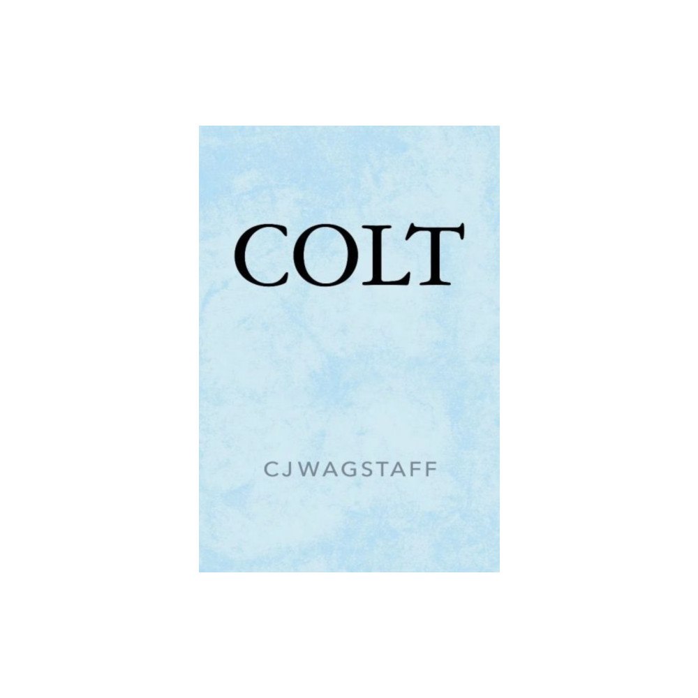 The Hmm Foundation Colt (häftad, eng)