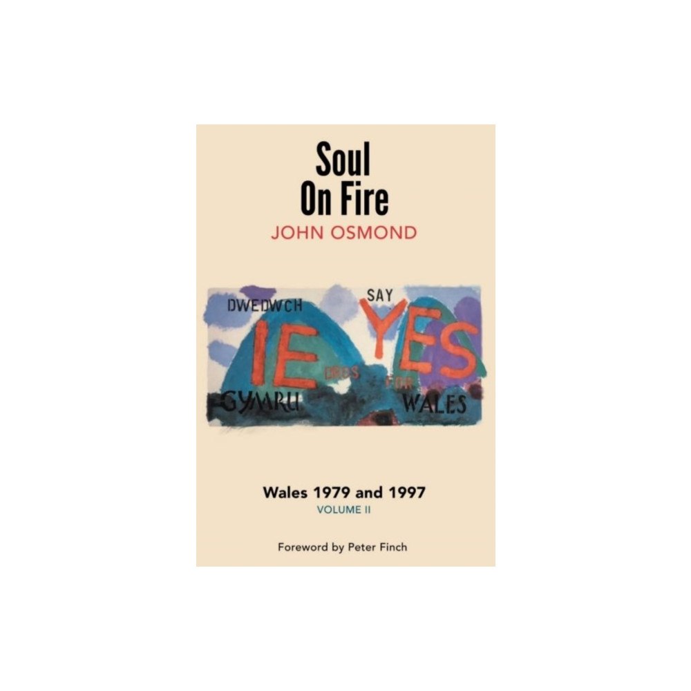 The Hmm Foundation Soul on Fire - Wales 1979 and 1997, volume II (häftad, eng)