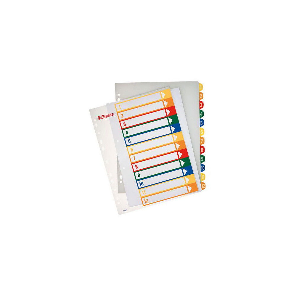 ESSELTE Plastregister ESSELTE PP A4+ 1-12 färger
