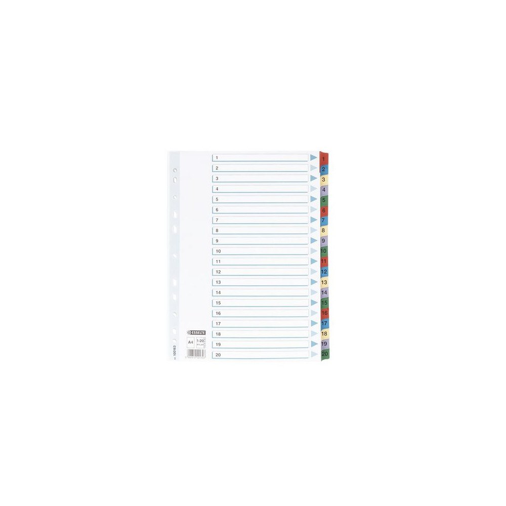 ESSELTE Kartongregister m. plastfl. A4 1-20 färg