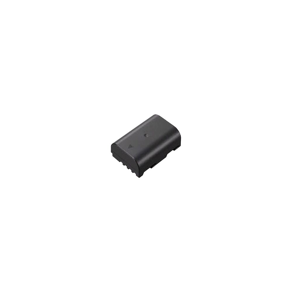 Panasonic Panasonic Battery DMW-BLF19E