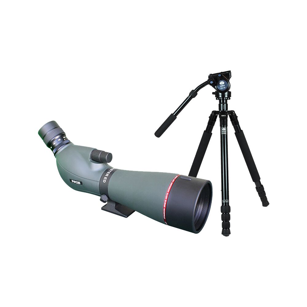 FOCUS OPTICS Kit Focus Viewmaster ED 20-60x80, with Sirui R2004+VH10