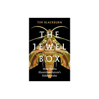 Tim Blackburn The Jewel Box (häftad, eng)