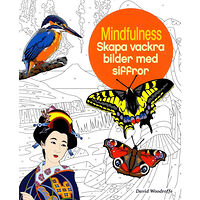 David Woodroffe Mindfulness : skapa vackra bilder med siffror (häftad)