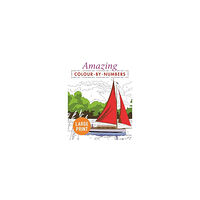 Arcturus Amazing Colour-by-Numbers Large Print (pocket, eng)