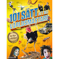 Richard Happer 101 sätt att bli världsmästare (häftad)