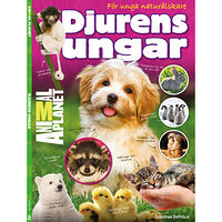 Orage Djurens ungar - för unga naturälskare (inbunden)