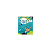 Christer Bermheden Champ 6 Workbook (häftad, eng)