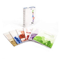 Makadam förlag RJ:s årsbox 2020 - Staden 1-6 (bok, danskt band)