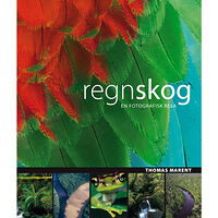 Thomas Marent Regnskog : [en fotografisk resa] (inbunden)