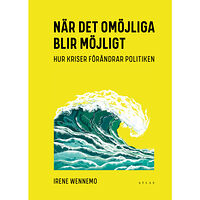 Irene Wennemo När det omöjliga blir möjligt (bok, kartonnage)