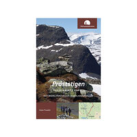 Hans Fowelin Präststigen till Alkavare kapell och andra färdvägar i Kvikkjokksfjällen (bok, flexband)