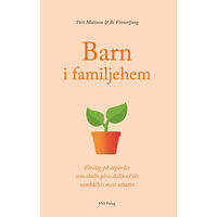 Titti Mattsson Barn i familjehem. Förslag på åtgärder som skulle göra skillnad för ... (häftad)