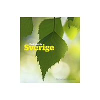 Rickard Lagerberg Det här är Sverige (häftad)