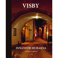 Agneta Larsson Visby innanför murarna (bok, halvklotband)
