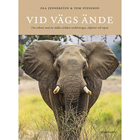Ola Jennersten Vid vägs ände : om arbetet med att rädda världens noshörningar, elefanter och tigrar (inbunden)