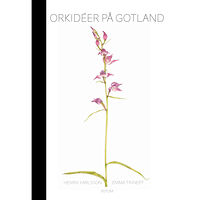 Henrik Karlsson Orkidéer på Gotland (bok, halvklotband)