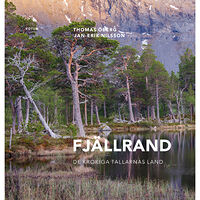 Thomas Öberg Fjällrand : de krokiga tallarnas land (inbunden)