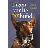 Bokförlaget NoNa Ingen vanlig hund (inbunden)