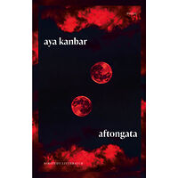 Aya Kanbar Aftongata (inbunden)