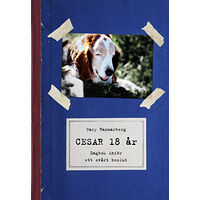 Midas Cesar 18 år : dagbok inför ett svårt beslut (bok, kartonnage)