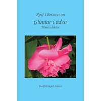 Rolf Christerson Glimtar i tiden : haikudikter (bok, kartonnage)