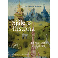 Ole Martin Høystad Själens historia : en resa i vårt gåtfulla inre (inbunden)