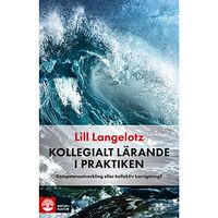 Lill Langelotz Kollegialt lärande i praktiken : kompetensutveckling eller kollektiv korrigering? (häftad)