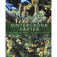 Ica Bokförlag Vintergröna växter (inbunden)