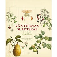 Ross Bayton Växternas släktskap : genealogi för trädgårdsälskare (inbunden)