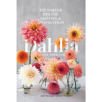 Ulrika Grönlund Dahlia : 222 sorter, odling, skötsel och inspiration (inbunden)