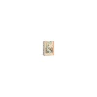 Potter Style Jane Austen Note Cards - Pride And Prejudice (bok, eng)