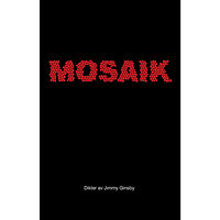 Jimmy Ginsby Mosaik (inbunden)