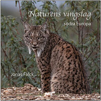 Jonas Falck Naturens vingslag : södra Europa (inbunden)