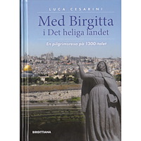 Luca Cesarini Med Birgitta i Det heliga landet (inbunden)